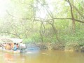 Tn PPTC 306